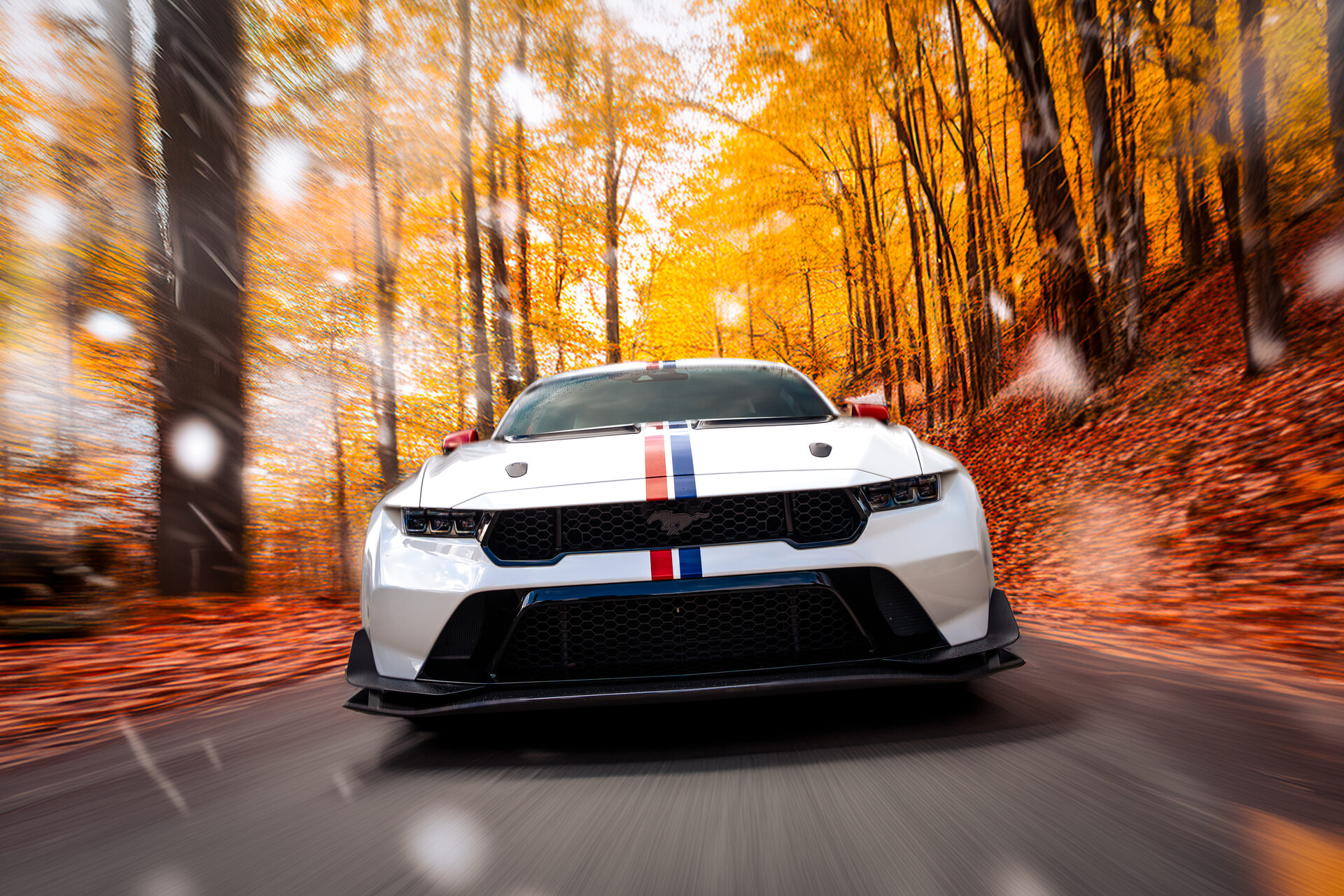 DGOs Media — BMW on cinematic autumn road