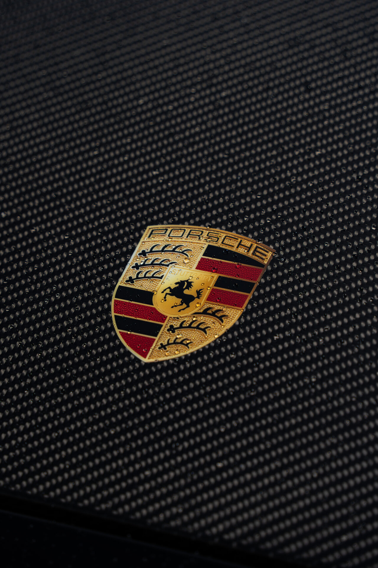 Porsche crest badge detail