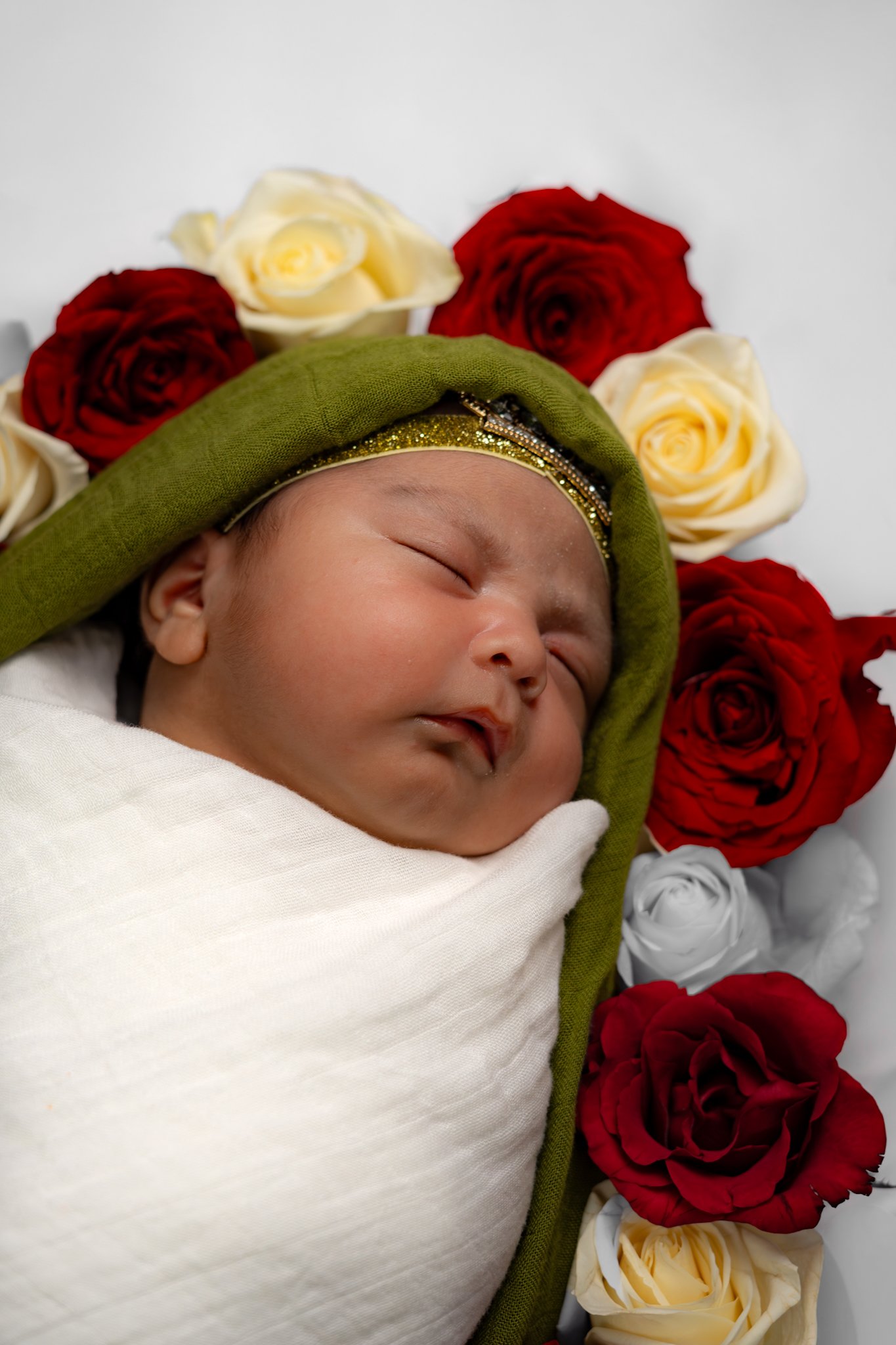 Newborn portrait with green wrap and rose border